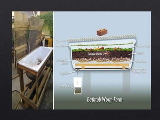Vermiculture | PPTX