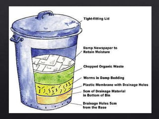 Vermiculture | PPTX