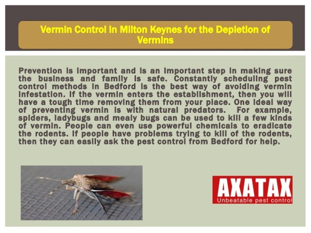 Vermin Control Program Vermin Control Program _ 6 Best Pest Control Software of 2024 – CGZSUT