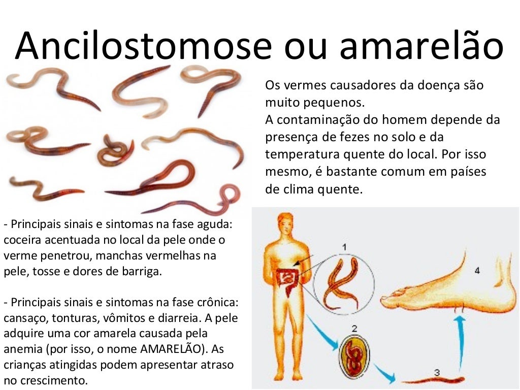 Cite Duas Verminoses Que Envolve Um Ciclo Pulmonar De Contaminação