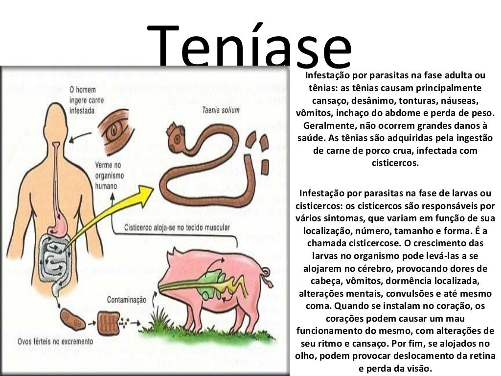 Cite Duas Verminoses Que Envolve Um Ciclo Pulmonar De Contaminação
