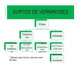 SURTOS DE VERMINOSES
Clima
Temperat
ura
5°C: larvas
se
imobiliza
m
22-26°C:
Desenvolvime
nto
> 30°C:
Desenvolvim
ento
acelerado
Umidade
Fator limitante
(100% ideal)
Ovo e L3:
+
resistente
* Maioria das larvas morrem com
30 dias
 