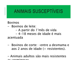 ANIMAIS SUSCEPTÍVEIS
Bovinos
- Bovinos de leite:
- A partir do 1°mês de vida
- 4-18 meses de idade é mais
acentuada
- Bovinos de corte: -entre a desmama e
aos 2 anos de idade (+ resistentes).
- Animais adultos são mais resistentes
 