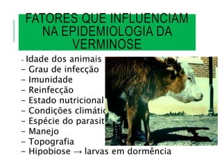 FATORES QUE INFLUENCIAM
NA EPIDEMIOLOGIA DA
VERMINOSE
- Idade dos animais
- Grau de infecção
- Imunidade
- Reinfecção
- Estado nutricional
- Condições climáticas
- Espécie do parasito
- Manejo
- Topografia
- Hipobiose → larvas em dormência
 