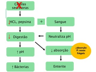 Células
secretoras
HCL, pepsina
Digestão
↑ pH
↑ Bácterias
X
↓
↓
+ Sangue
Neutraliza pH
↓ absorção
Enterite
↓absorção
P: ossos
frágeis
 