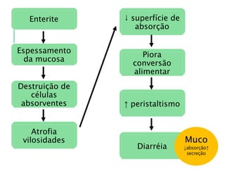 Enterite
Espessamento
da mucosa
Destruição de
células
absorventes
Atrofia
vilosidades
↓ superfície de
absorção
Piora
conversão
alimentar
↑ peristaltismo
Diarréia
Muco
↓absorção↑
secreção
 