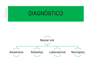 DIAGNÓSTICO
Basear em
Anamnese Sintomas Laboratorial Necrópsia
 