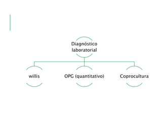 Diagnóstico
laboratorial
willis OPG (quantitativo) Coprocultura
 