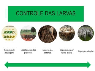CONTROLE DAS LARVAS
Rotação de
pastagens
Localização dos
piquetes
Manejo do
esterco
Separação por
faixa etária
Superpopulação
 