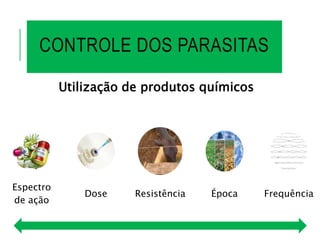 CONTROLE DOS PARASITAS
Utilização de produtos químicos
Espectro
de ação
Dose Resistência Época Frequência
 
