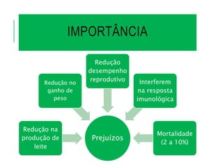 IMPORTÂNCIA
Prejuízos
Redução na
produção de
leite
Redução no
ganho de
peso
Redução
desempenho
reprodutivo Interferem
na resposta
imunológica
Mortalidade
(2 a 10%)
 