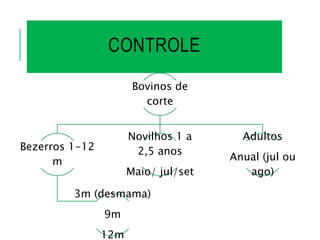 CONTROLE
Bovinos de
corte
Bezerros 1-12
m
3m (desmama)
9m
12m
Novilhos 1 a
2,5 anos
Maio/ jul/set
Adultos
Anual (jul ou
ago)
 