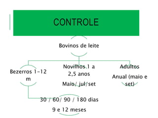 CONTROLE
Bovinos de leite
Bezerros 1-12
m
30 / 60/ 90 / 180 dias
9 e 12 meses
Novilhos 1 a
2,5 anos
Maio/ jul/set
Adultos
Anual (maio e
set)
 