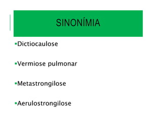 SINONÍMIA
Dictiocaulose
Vermiose pulmonar
Metastrongilose
Aerulostrongilose
 