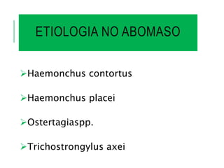 ETIOLOGIA NO ABOMASO
Haemonchus contortus
Haemonchus placei
Ostertagiaspp.
Trichostrongylus axei
 