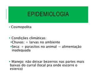 EPIDEMIOLOGIA
 Cosmopolita
 Condições climáticas:
Chuvas: + larvas no ambiente
Seca: + parasitos no animal → alimentação
inadequada
 Manejo: não deixar bezerros nas partes mais
baixas do curral (local pra onde escorre o
esterco)
 