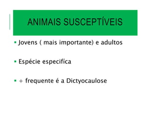 ANIMAIS SUSCEPTÍVEIS
 Jovens ( mais importante) e adultos
 Espécie especifíca
 + frequente é a Dictyocaulose
 