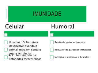 IMUNIDADE
Celular
Uma das 1ªs barreiras
Desenvolve quando o
animal entra em contato
com a verminose
A 1ª barreira são os
linfonodos mesentéricos
Humoral
Realizada pelos anticorpos
Reduz nº de parasitos instalados
Infecção e sintomas + brandos
 