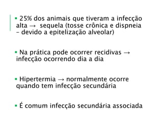  25% dos animais que tiveram a infecção
alta → sequela (tosse crônica e dispneia
– devido a epitelização alveolar)
 Na prática pode ocorrer recidivas →
infecção ocorrendo dia a dia
 Hipertermia → normalmente ocorre
quando tem infecção secundária
 É comum infecção secundária associada
 