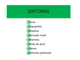 SINTOMAS
Tosse
Taquipnéia
Dispnéia
Secreção nasal
Anorexia
Perda de peso
Edema
Enfisema pulmonar
 
