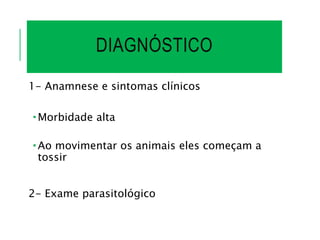DIAGNÓSTICO
1- Anamnese e sintomas clínicos
 Morbidade alta
 Ao movimentar os animais eles começam a
tossir
2- Exame parasitológico
 
