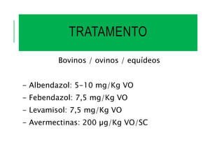 TRATAMENTO
Bovinos / ovinos / equídeos
- Albendazol: 5-10 mg/Kg VO
- Febendazol: 7,5 mg/Kg VO
- Levamisol: 7,5 mg/Kg VO
- Avermectinas: 200 µg/Kg VO/SC
 