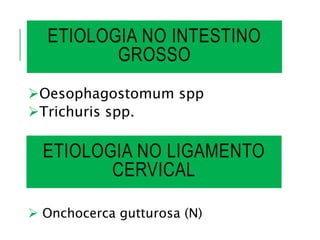 ETIOLOGIA NO INTESTINO
GROSSO
Oesophagostomum spp
Trichuris spp.
 Onchocerca gutturosa (N)
ETIOLOGIA NO LIGAMENTO
CERVICAL
 