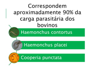 Haemonchus contortus
Haemonchus placei
Cooperia punctata
Correspondem
aproximadamente 90% da
carga parasitária dos
bovinos
 