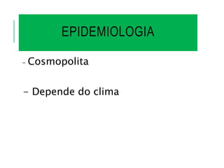 EPIDEMIOLOGIA
- Cosmopolita
- Depende do clima
 