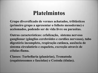 Platelmintos
Grupo diversificado de vermes achatados, triblásticos
(primeiro grupo a apresentar o folheto mesoderme) e
acelomados, podendo ser de vida livre ou parasitas.
Outras características: cefalização, sistema nervoso
ganglionar (gânglios cerebróides e cordões nervosos), tubo
digestório incompleto, respiração cutânea, ausência de
sistema circulatório e esqueleto, excreção através de
células-flama.
Classes: Turbellaria (planárias), Trematoda
(esquistossomos e fascíolas) e Cestoda (tênias).
 