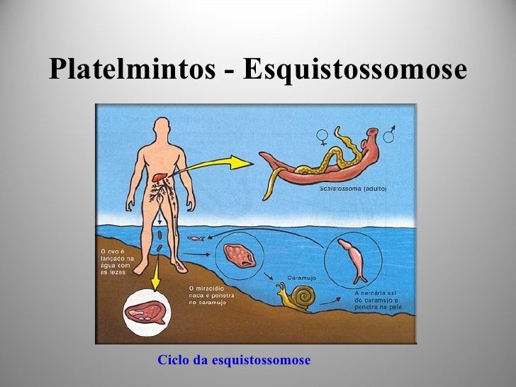 Cite Duas Verminoses Que Envolve Um Ciclo Pulmonar De Contaminação
