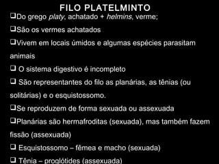 FILO PLATELMINTO
Do grego platy, achatado + helmins, verme;
São os vermes achatados
Vivem em locais úmidos e algumas espécies parasitam
animais
O sistema digestivo é incompleto
São representantes do filo as planárias, as tênias (ou
solitárias) e o esquistossomo.
Se reproduzem de forma sexuada ou assexuada
Planárias são hermafroditas (sexuada), mas também fazem
fissão (assexuada)
Esquistossomo – fêmea e macho (sexuada)
Tênia – proglótides (assexuada)
