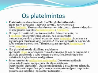Os platelmintos
 Platelmintos são animais do filo Platyhelminthes (do

grego platy, achatado + helmins, verme), pertencente ao
reino Animalia. São considerados vermes, tais como o são considerados
os integrantes dos filos Nematelmintos e Anelídeos.
 O corpo é constituído por três camadas. Primeiramente, há
a epiderme uniestratificada. Abaixo, há duas camadas
musculares, sendo a primeira composta por músculos circulares e a
segunda por músculos longitudinais. A esse conjunto dá-se o nome de
tubo músculo-dermático. Tal tubo atua na proteção, locomoção e
como esqueleto.
 Nos platelmintos de vida livre, a epiderme
apresenta cílios, relacionados com a locomoção. Já nos parasitas, há a
cutícula envolvendo o tubo músculo-dermático, conferindo-lhe
resistência à ação dos sucos digestivos.
 Esses vermes são triblásticos acelomados. Como conseqüência
disso, não formam completamente alguns sistemas
(respiratório, digestório). Outra consequência é a sua forma achatada.
Suas células têm que ficar próximas ao meio externo (para respirar) e
próximas ao intestino (para obter nutrientes).

 