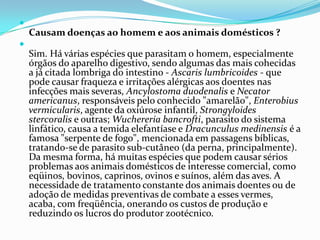 

Causam doenças ao homem e aos animais domésticos ?


Sim. Há várias espécies que parasitam o homem, especialmente
órgãos do aparelho digestivo, sendo algumas das mais cohecidas
a já citada lombriga do intestino - Ascaris lumbricoides - que
pode causar fraqueza e irritações alérgicas aos doentes nas
infecções mais severas, Ancylostoma duodenalis e Necator
americanus, responsáveis pelo conhecido "amarelão", Enterobius
vermicularis, agente da oxiúrose infantil, Strongyloides
stercoralis e outras; Wuchereria bancrofti, parasito do sistema
linfático, causa a temida elefantíase e Dracunculus medinensis é a
famosa "serpente de fogo", mencionada em passagens bíblicas,
tratando-se de parasito sub-cutâneo (da perna, principalmente).
Da mesma forma, há muitas espécies que podem causar sérios
problemas aos animais domésticos de interesse comercial, como
eqüinos, bovinos, caprinos, ovinos e suínos, além das aves. A
necessidade de tratamento constante dos animais doentes ou de
adoção de medidas preventivas de combate a esses vermes,
acaba, com freqüência, onerando os custos de produção e
reduzindo os lucros do produtor zootécnico.

 