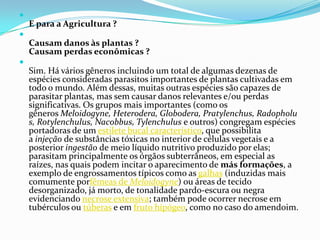 

E para a Agricultura ?


Causam danos às plantas ?
Causam perdas econômicas ?


Sim. Há vários gêneros incluindo um total de algumas dezenas de
espécies consideradas parasitos importantes de plantas cultivadas em
todo o mundo. Além dessas, muitas outras espécies são capazes de
parasitar plantas, mas sem causar danos relevantes e/ou perdas
significativas. Os grupos mais importantes (como os
gêneros Meloidogyne, Heterodera, Globodera, Pratylenchus, Radopholu
s, Rotylenchulus, Nacobbus, Tylenchulus e outros) congregam espécies
portadoras de um estilete bucal característico, que possibilita
a injeção de substâncias tóxicas no interior de células vegetais e a
posterior ingestão de meio líquido nutritivo produzido por elas;
parasitam principalmente os órgãos subterrâneos, em especial as
raízes, nas quais podem incitar o aparecimento de más formações, a
exemplo de engrossamentos típicos como as galhas (induzidas mais
comumente porfêmeas de Meloidogyne) ou áreas de tecido
desorganizado, já morto, de tonalidade pardo-escura ou negra
evidenciando necrose extensiva; também pode ocorrer necrose em
tubérculos ou túberas e em fruto hipógeo, como no caso do amendoim.

 