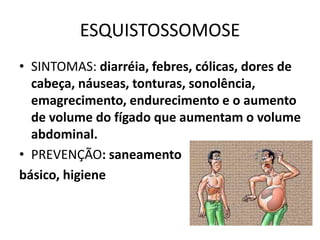 ESQUISTOSSOMOSE
• SINTOMAS: diarréia, febres, cólicas, dores de
cabeça, náuseas, tonturas, sonolência,
emagrecimento, endurecimento e o aumento
de volume do fígado que aumentam o volume
abdominal.
• PREVENÇÃO: saneamento
básico, higiene
 