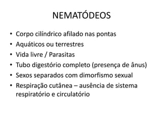 NEMATÓDEOS
• Corpo cilíndrico afilado nas pontas
• Aquáticos ou terrestres
• Vida livre / Parasitas
• Tubo digestório completo (presença de ânus)
• Sexos separados com dimorfismo sexual
• Respiração cutânea – ausência de sistema
respiratório e circulatório
 