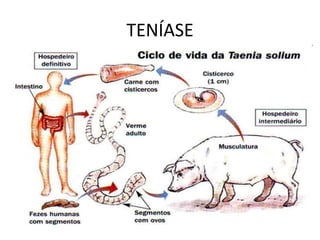 TENÍASE
 