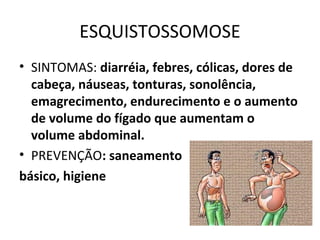ESQUISTOSSOMOSE
• SINTOMAS: diarréia, febres, cólicas, dores de
cabeça, náuseas, tonturas, sonolência,
emagrecimento, endurecimento e o aumento
de volume do fígado que aumentam o
volume abdominal.
• PREVENÇÃO: saneamento
básico, higiene
 