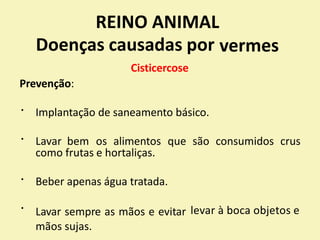 REINO ANIMAL
Doenças causadas por
Cisticercose
Prevenção:
vermes
Implantação de saneamento básico.
Lavar bem os alimentos que são consumidos crus
como frutas e hortaliças.
Beber apenas água tratada.
Lavar sempre as mãos e evitar
mãos sujas.
levar à boca objetos e
 
