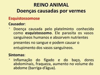REINO ANIMAL
Doenças causadas por vermes
Esquistossomose
Causador:
Doença causada pelo platelminto conhecido
como esquistossomo. Ele parasita os vasos
sanguíneos humanos e absorvem nutrientes
presentes no sangue e podem causar o
entupimento dos vasos sanguíneos.
Sintomas:
Inflamação do fígado e do baço, dores
abdominais, fraqueza, aumento no volume do
abdome (barriga-d’água).
 