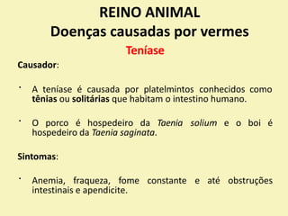 REINO ANIMAL
Doenças causadas por vermes
Teníase
Causador:
A teníase é causada por platelmintos conhecidos como
tênias ou solitárias que habitam o intestino humano.
O porco é hospedeiro da Taenia solium e o boi é
hospedeiro da Taenia saginata.
Sintomas:
Anemia, fraqueza, fome constante e até obstruções
intestinais e apendicite.
 