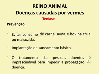 REINO ANIMAL
Doenças causadas por
Teníase
Prevenção:
vermes
Evitar consumo
ou malcozida.
de carne suína e bovina crua
Implantação de saneamento básico.
O tratamento das pessoas doentes é
da
imprescindível para impedir a propagação
doença.
 