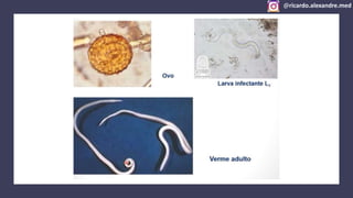 @ricardo.alexandre.med
@ricardo.alexandre.med
 