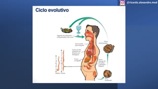 @ricardo.alexandre.med
@ricardo.alexandre.med
 