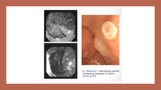 @ricardo.alexandre.med
 