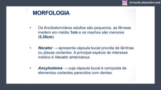 @ricardo.alexandre.med
@ricardo.alexandre.med
 