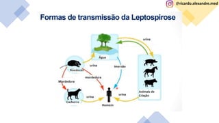 @ricardo.alexandre.med
@ricardo.alexandre.med
 