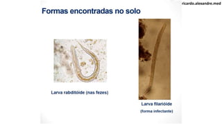 @ricardo.alexandre.med
 