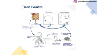 @ricardo.alexandre.med
@ricardo.alexandre.med
 